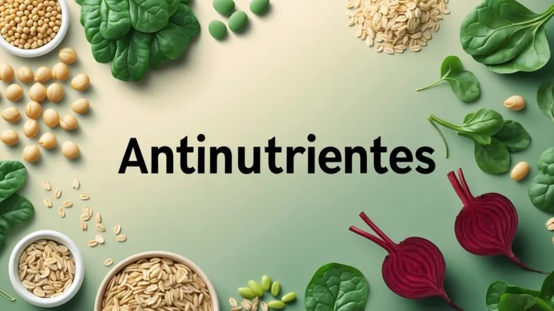 O que São Antinutrientes e Como Reduzi-los na Dieta Vegetariana